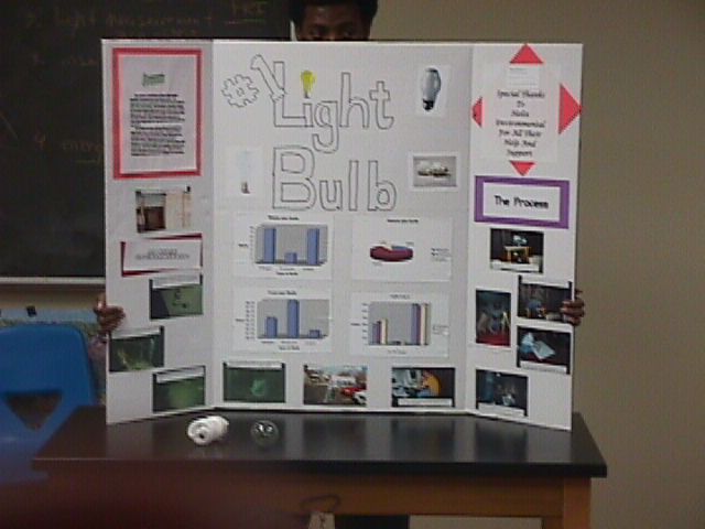 lightbulbdisply.jpg